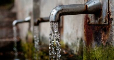 Wasser - Leitungswasser optimieren