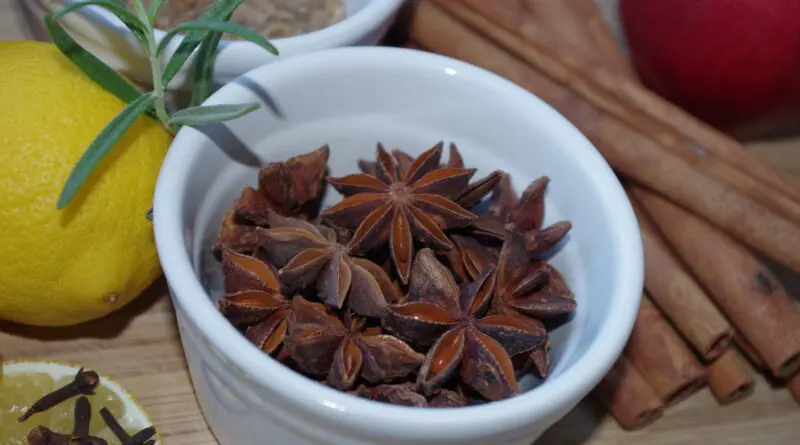 star anise 1061546 1920