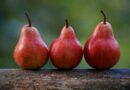 10 regionale Superfoods, die den Namen verdienen