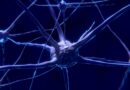 Neurofibromatose: Symptome und Behandlungsmöglichkeiten