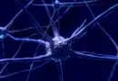 Neurofibromatose: Symptome und Behandlungsmöglichkeiten