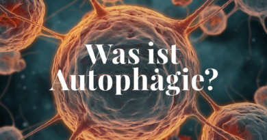 was ist Autophagie