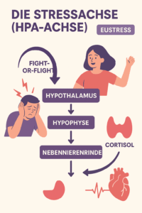 Mentale Gesundheit & Stressbewältigung