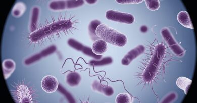 Antibiogramm